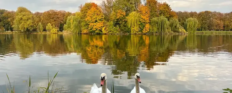 Осінь у Кракові